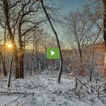 Winter morning video still