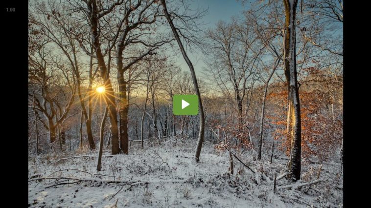 Winter morning video still