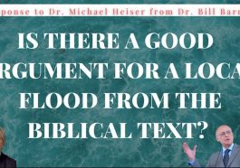 Is there a good argument for a local flood from the biblical text?