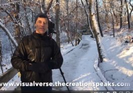 Sunrise with Pat Mingarelli still