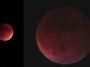 Lunar eclipse photos from Mrs. Wile
