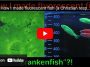 Frankenfish YouTube still