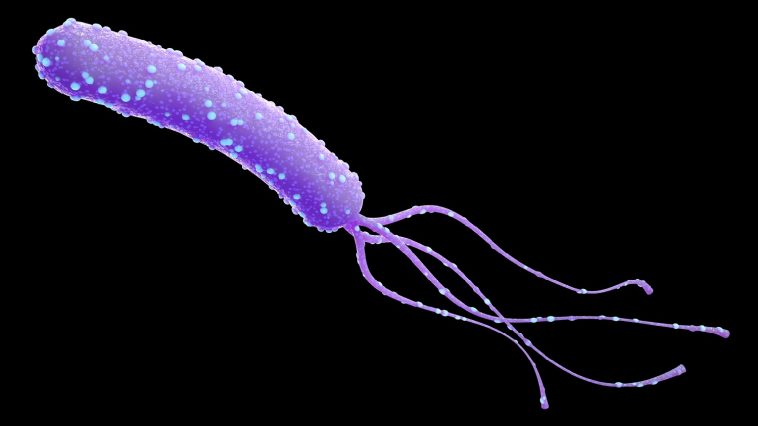 Helicobacter Pylori Bacreium with flagellum: Illustration 165111522 © anolkil | Dreamstime.com