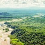 Pastaza River Amazon Rainforest arial view: Photo 61381397 © Ammit | Dreamstime.com