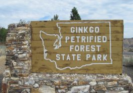 Ginkgo Petrified Forest State Park sign, photo credit: J.D. Mitchell