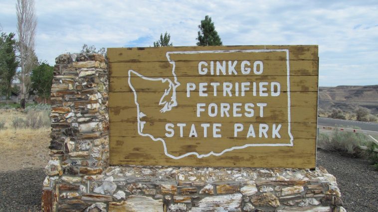 Ginkgo Petrified Forest State Park sign, photo credit: J.D. Mitchell