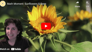 Sunflower and Honeycomb math: Kate Hannon YouTube still