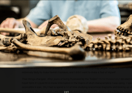Todd Wood studying a skeleton laid out on a table