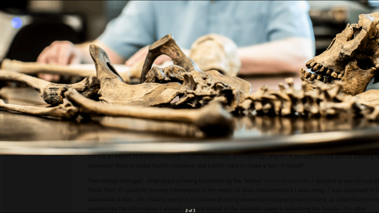 Todd Wood studying a skeleton laid out on a table
