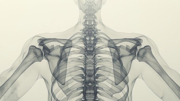 Human bones, Xray-style: Illustration 318222428 | Background © Poznavaikainfo | Dreamstime.com