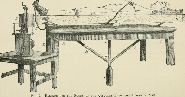 Angelo Mosso circulation balance table