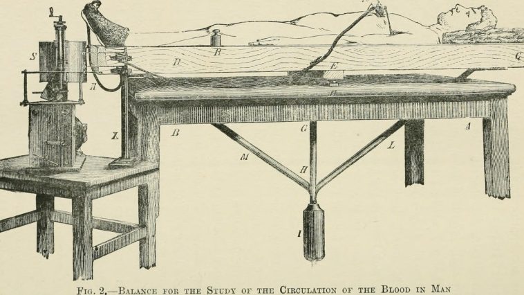 Angelo Mosso circulation balance table