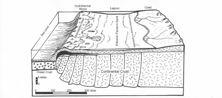 geologic drawing of a lagoon 