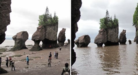 Hopewell Cape sea stacks in the Bay of Fundy, photo credit: Kathleen J. Wile
